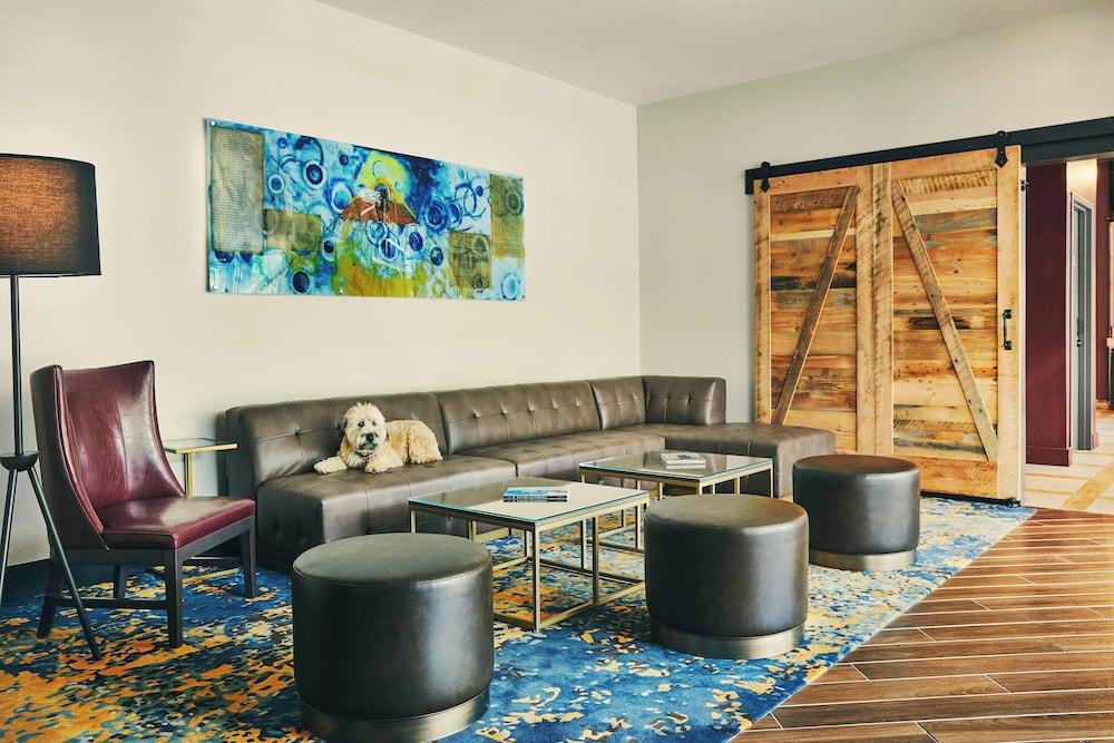 The Draftsman, Charlottesville, University, Autograph Collection Hotel photo 5