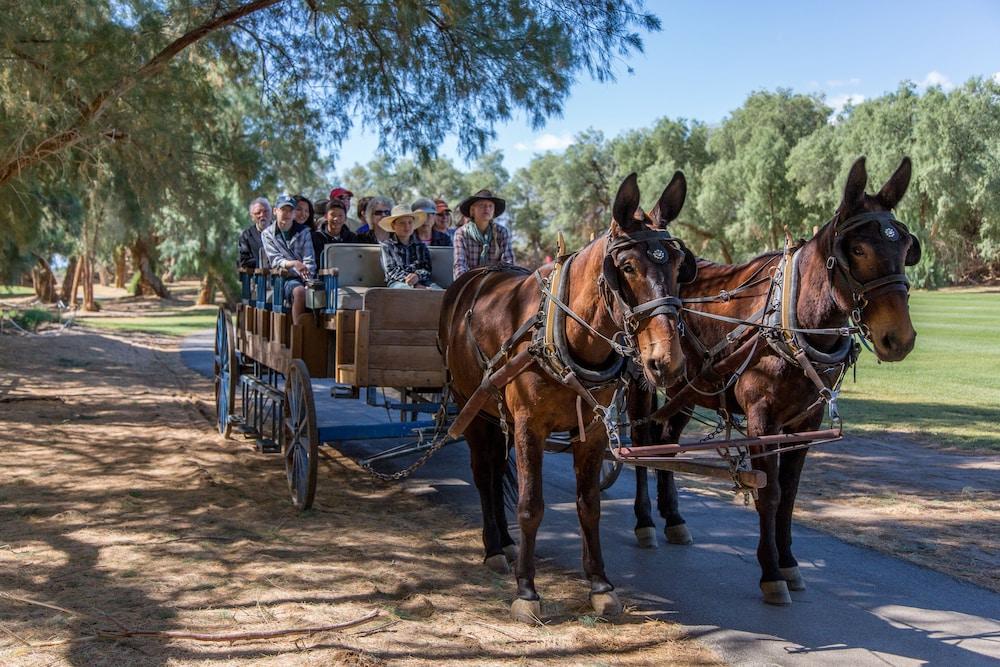 The Ranch at Death Valley – Inside the Park photo 28