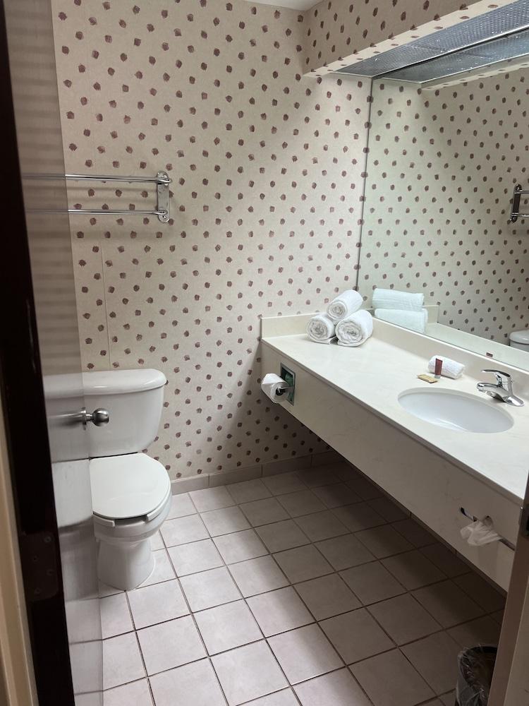 Orlando Palms Hotel photo 12