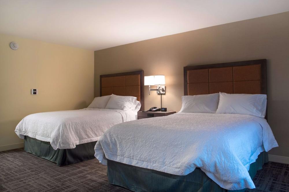 Hampton Inn Big Rapids photo 13