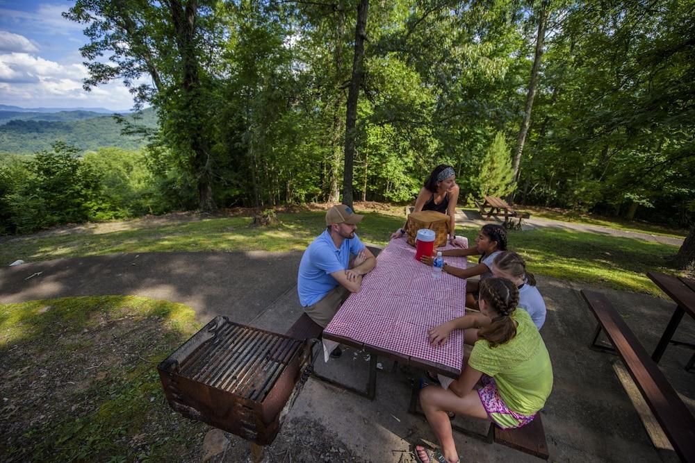 Pine Mountain State Resort Park photo 53