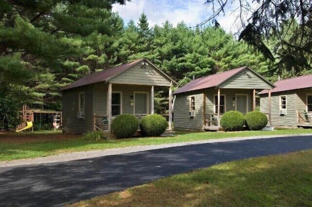 Pine Tree Motel & Cabins photo 1