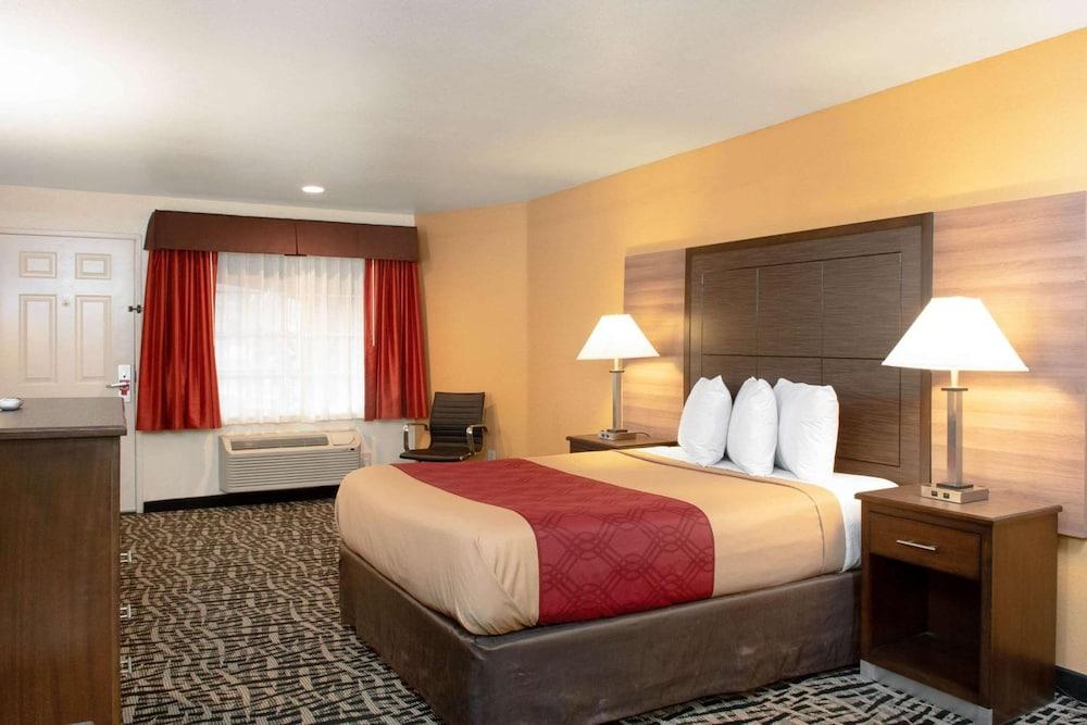 Executive Inn photo 18