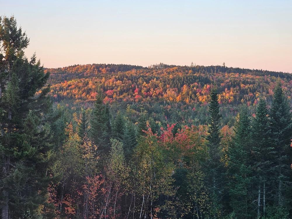 Bear Mountain Lodge photo 26