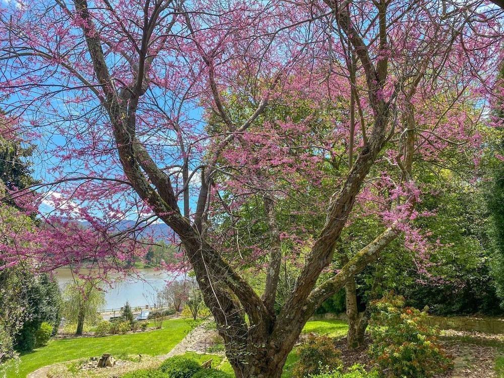 The Terrace at Lake Junaluska photo 33
