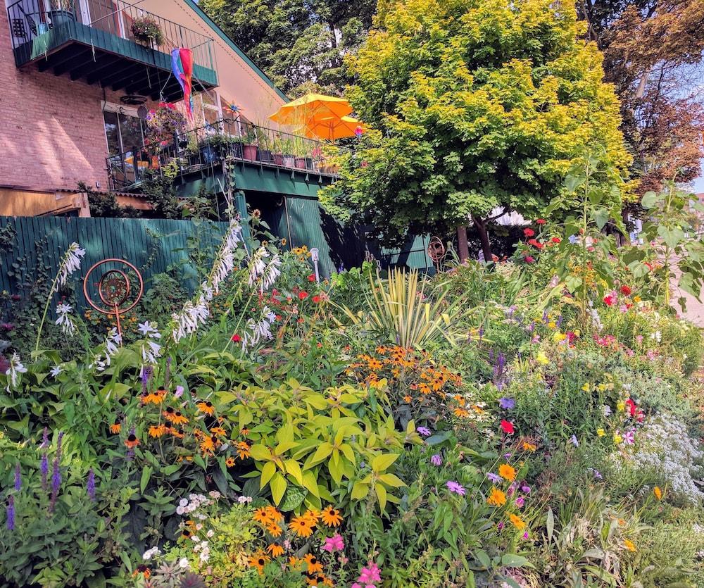 Ann Arbor B&B Inn photo 83