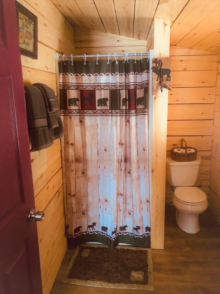 Wrangell Mountain Lodge photo 74