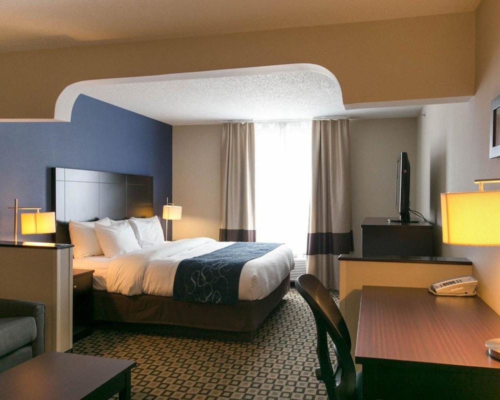 Comfort Suites Benton Harbor - St. Joseph photo 11