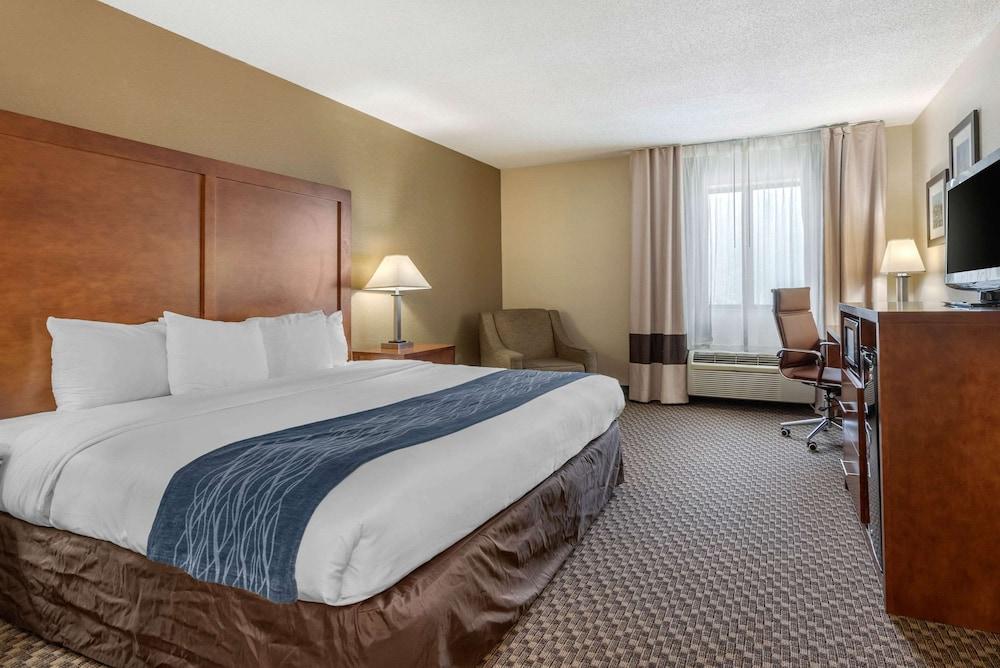 Comfort Inn Indianapolis South photo 6