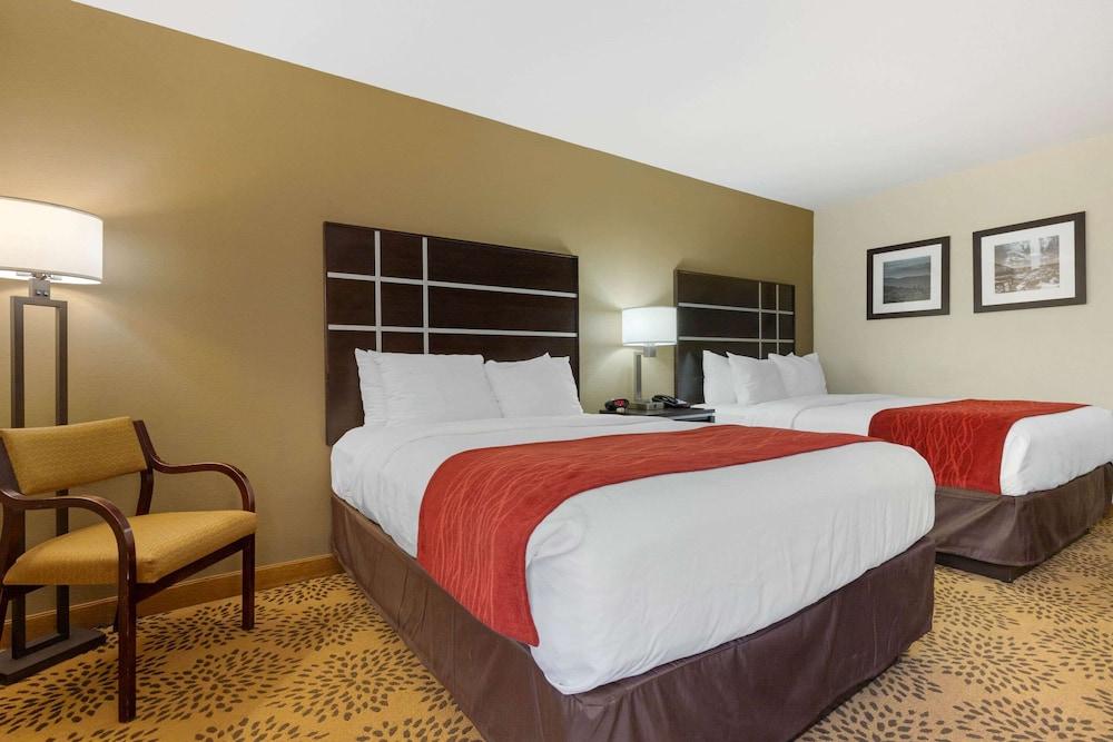 Comfort Inn North of Asheville photo 27