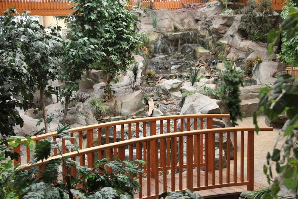 C'mon Inn Hotel & Suites photo 35
