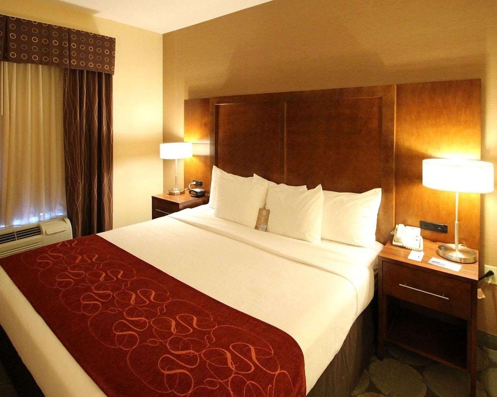 Comfort Suites Near University photo 6