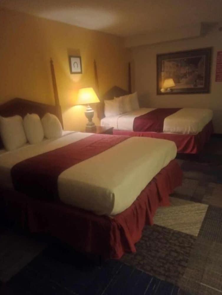 Signature Hotel photo 3