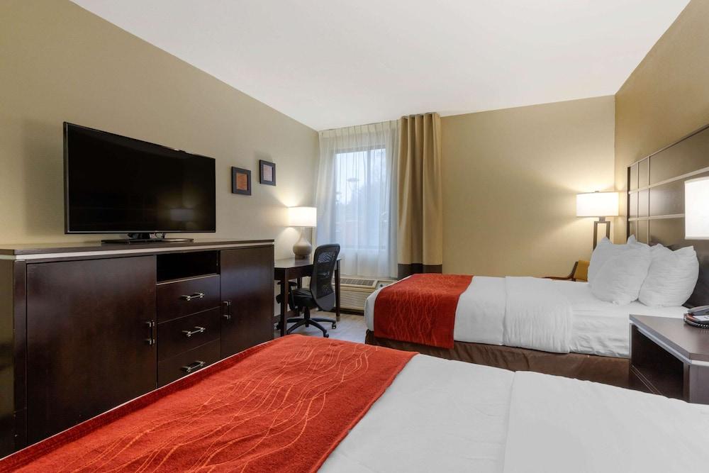 Comfort Inn North of Asheville photo 22