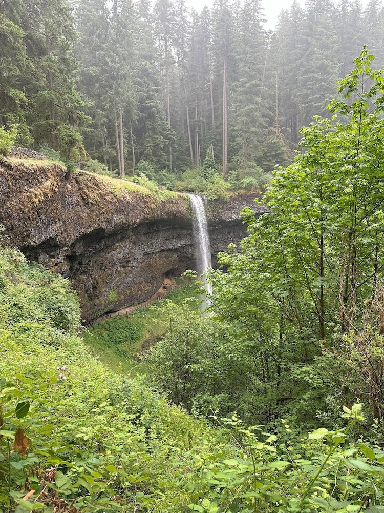 Smith Creek Village photo 13