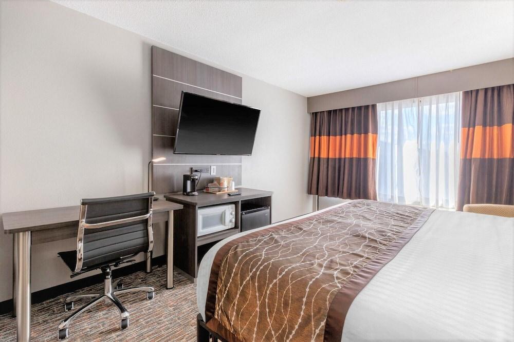 VetteCity Hotel photo 19