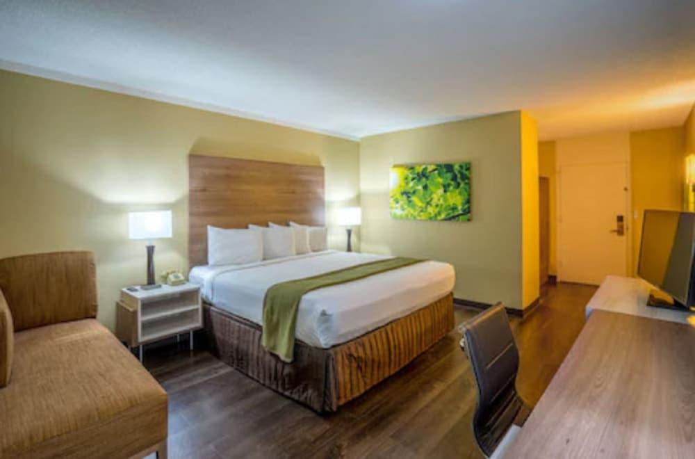 Wyndham Garden Washington DC Area photo 10