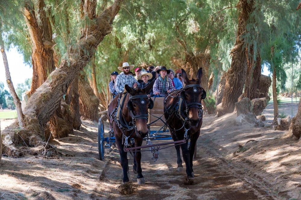 The Ranch at Death Valley – Inside the Park photo 5
