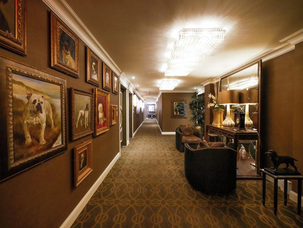 Curtiss Hotel, an Ascend Collection Hotel photo 45
