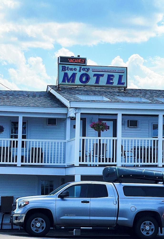 Blue Jay Motel photo 26