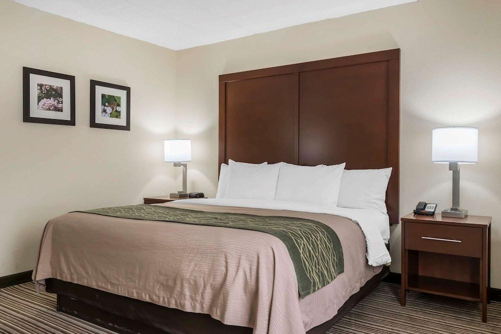 Comfort Inn - Pocono Mountains photo 30