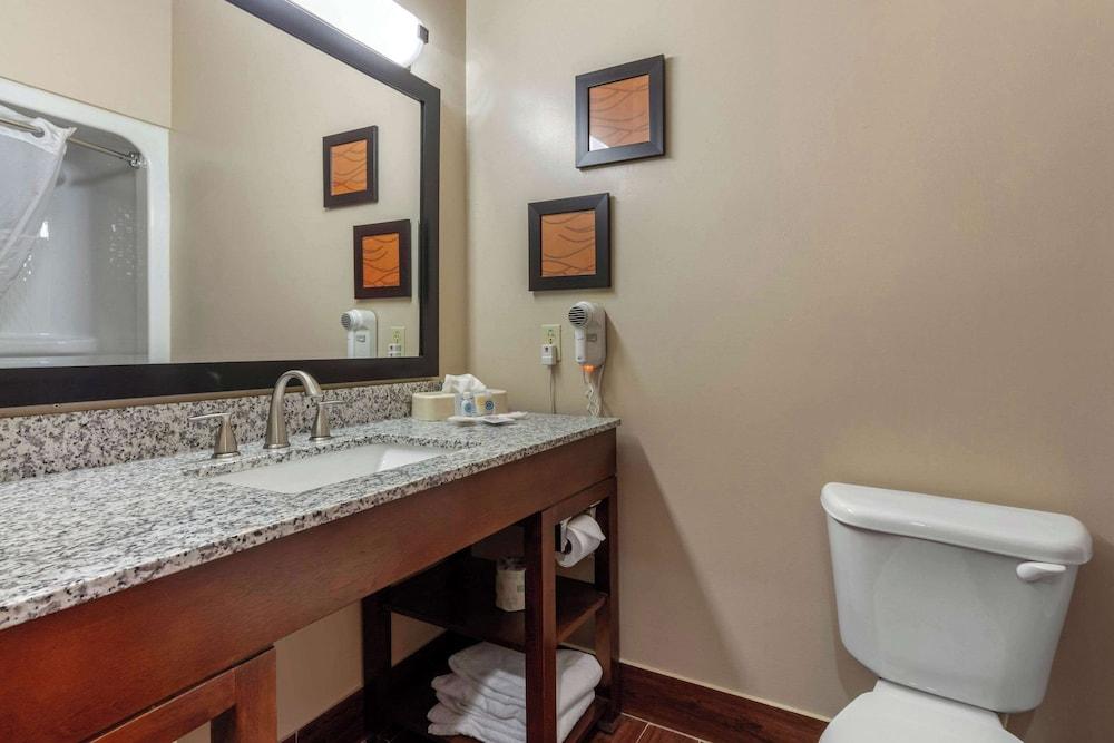 Comfort Suites Rolla photo 35