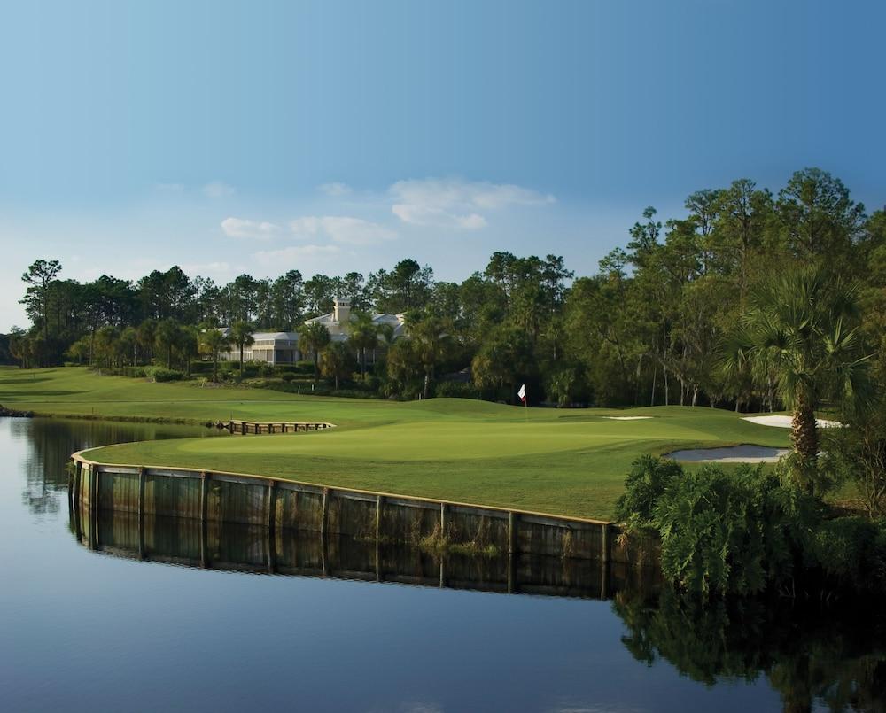 Saddlebrook Resort photo 87