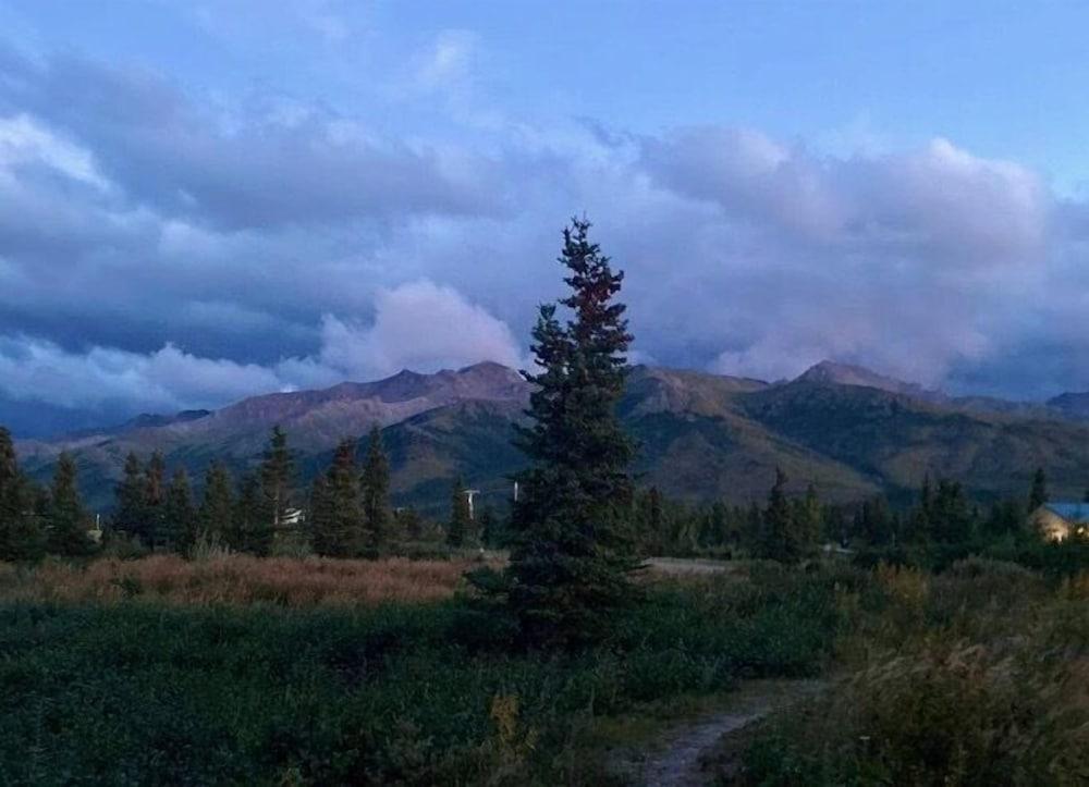 Denali Park Hotel photo 41