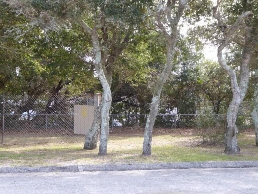 Swell Motel photo 51