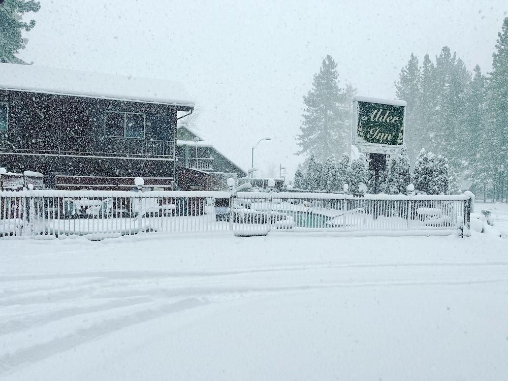 Alder Inn photo 57