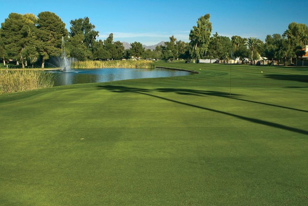 Orange Tree Resort photo 59