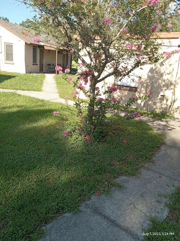 Homes-N-Courts photo 4