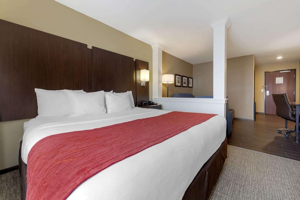 Comfort Suites and Conference Center photo 5