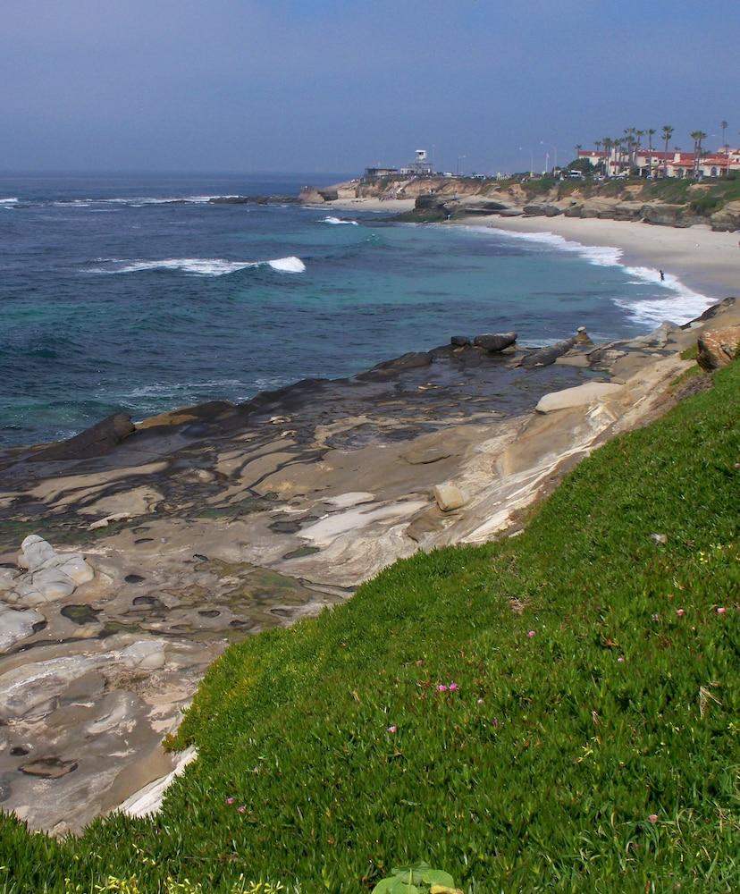 Laguna Surf photo 13