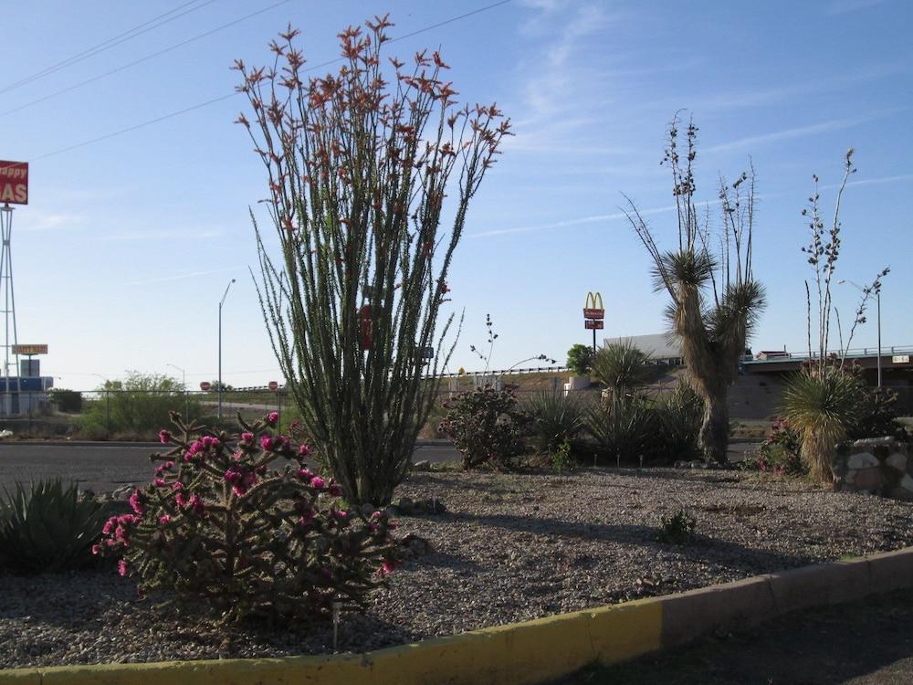 Hotel O Motel 10 Lordsburg I-10 photo 13