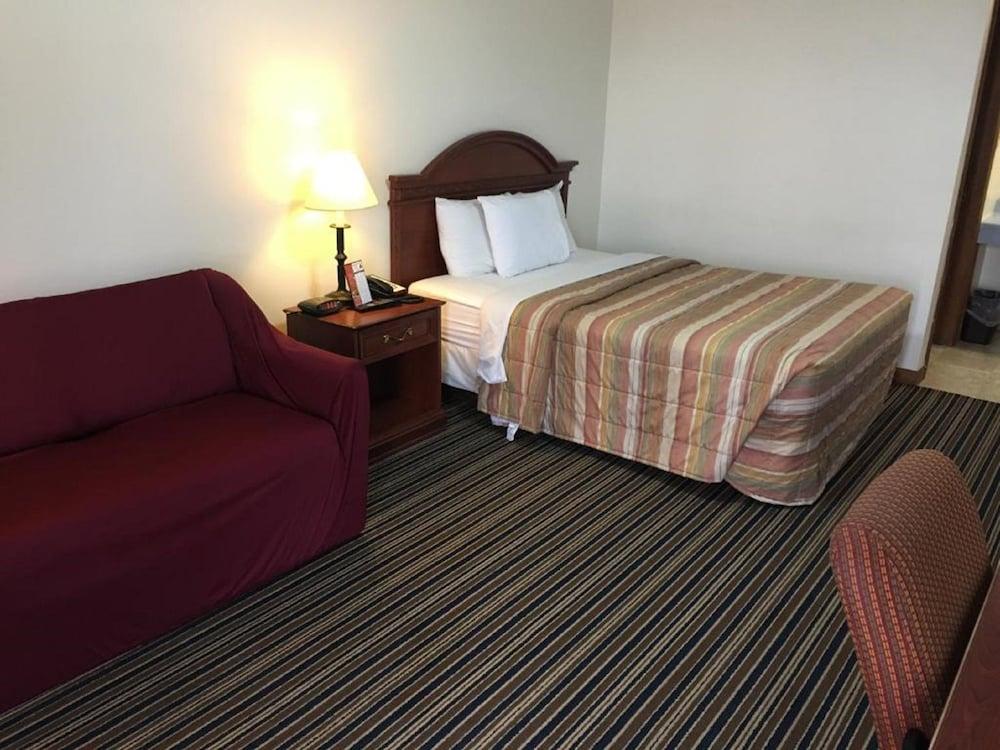Huggy Bear Motel photo 9