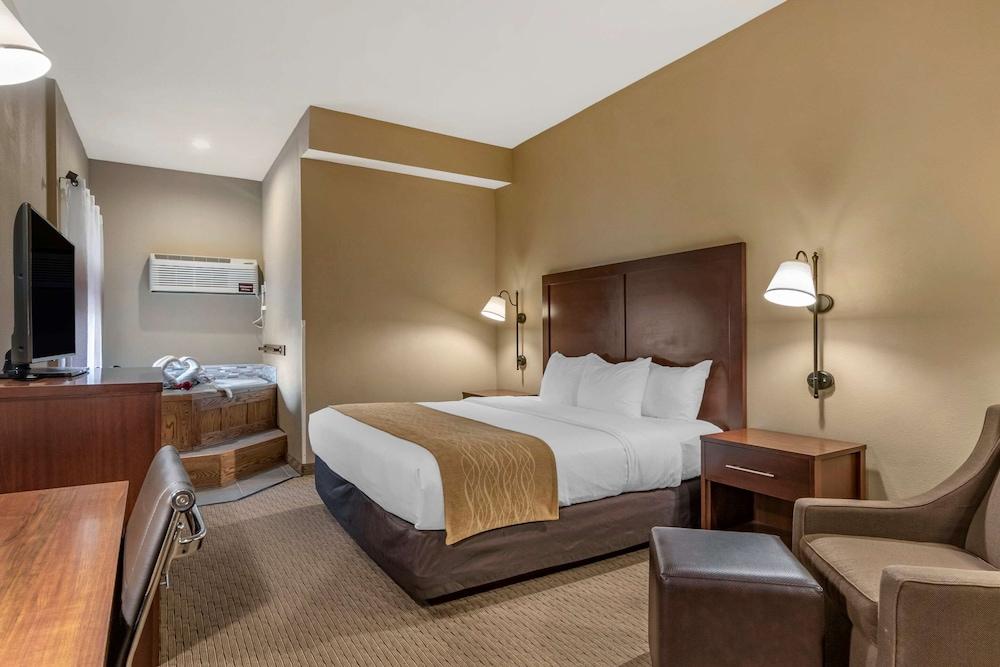 Comfort Inn Warrensburg Station photo 25
