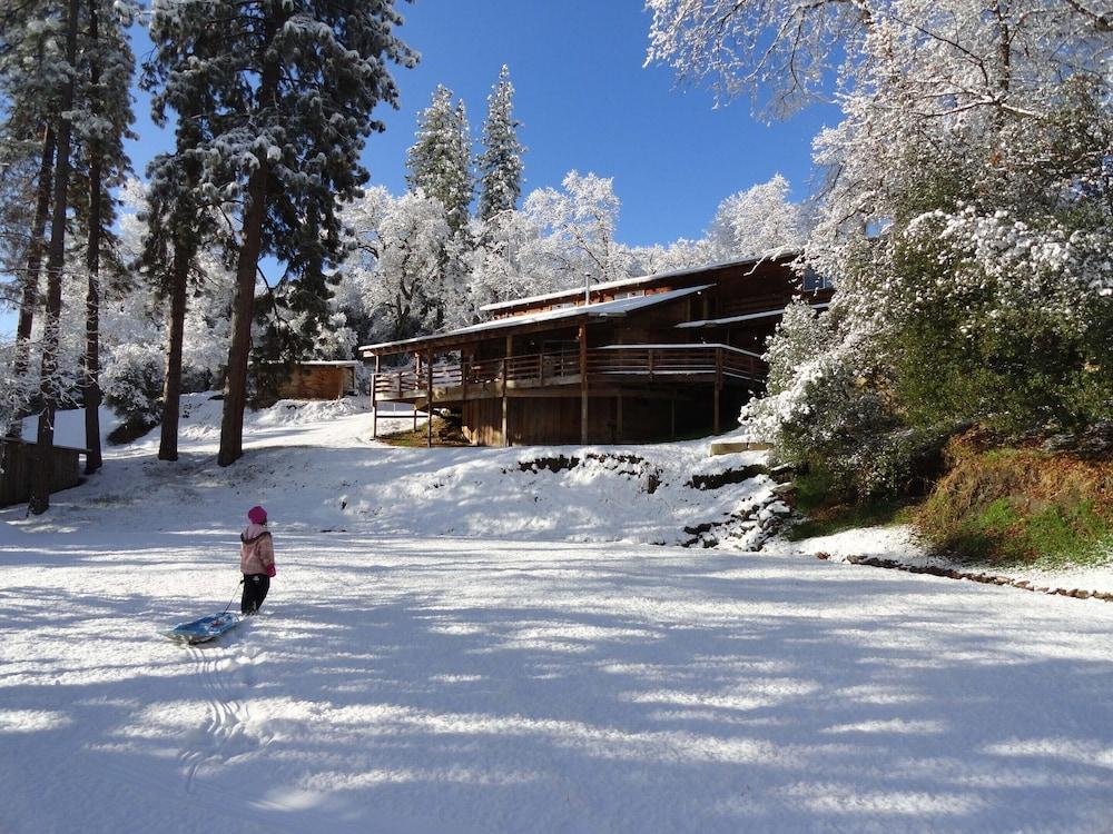 Evergreen Haus photo 56