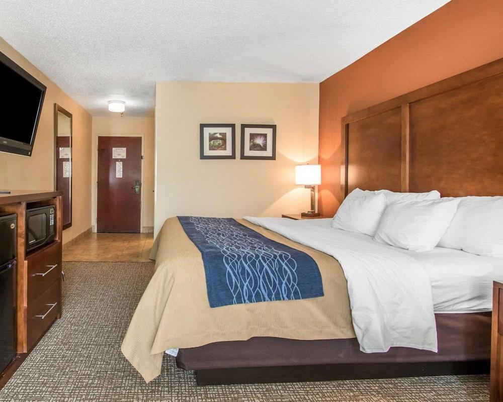 Comfort Inn Livingston photo 13