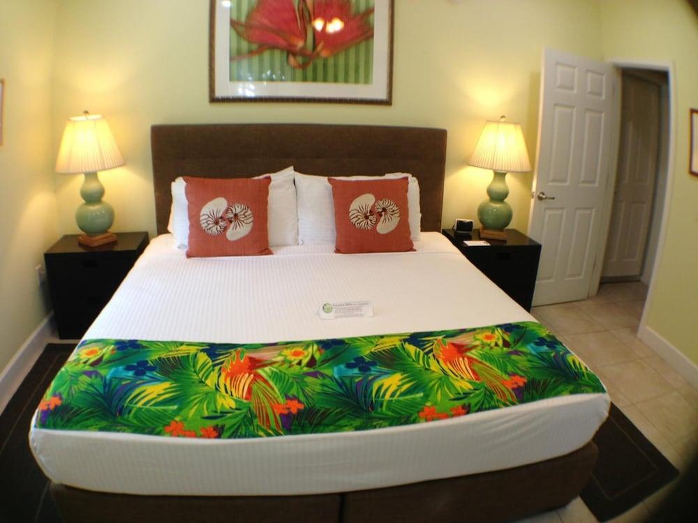 Travelers Palm photo 4
