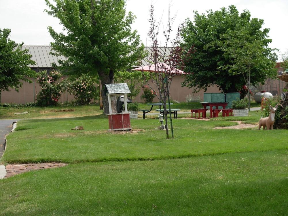 Jumping Frog Motel photo 38