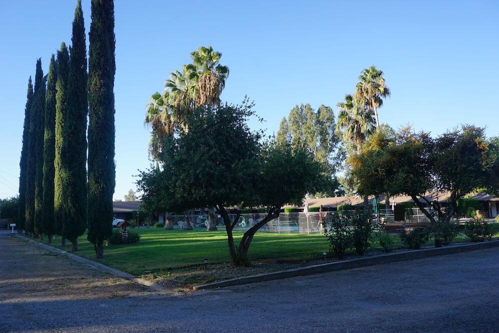 Blue Gum Motel photo 27