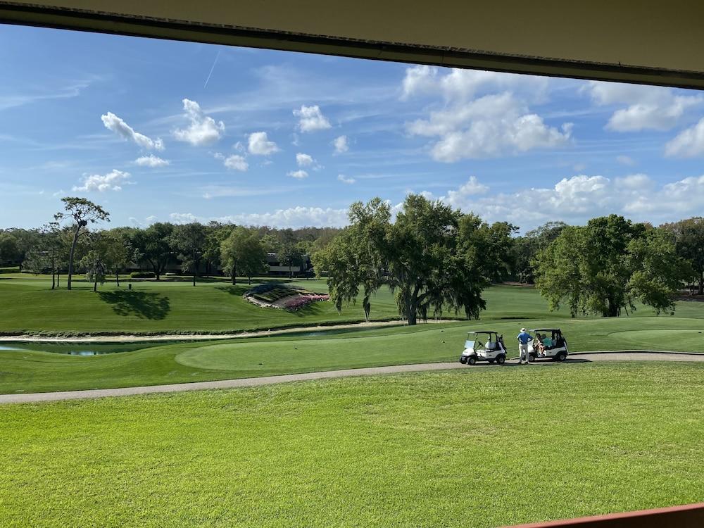 Innisbrook Resort photo 61