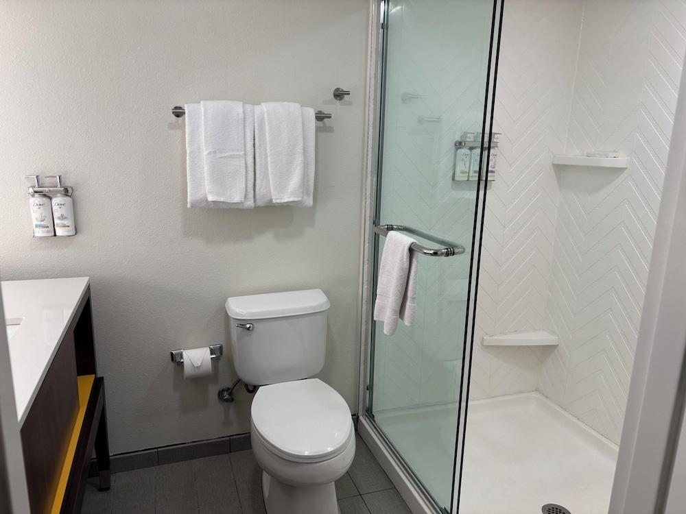 Holiday Inn Hotel & Suites Orange Park by IHG photo 15