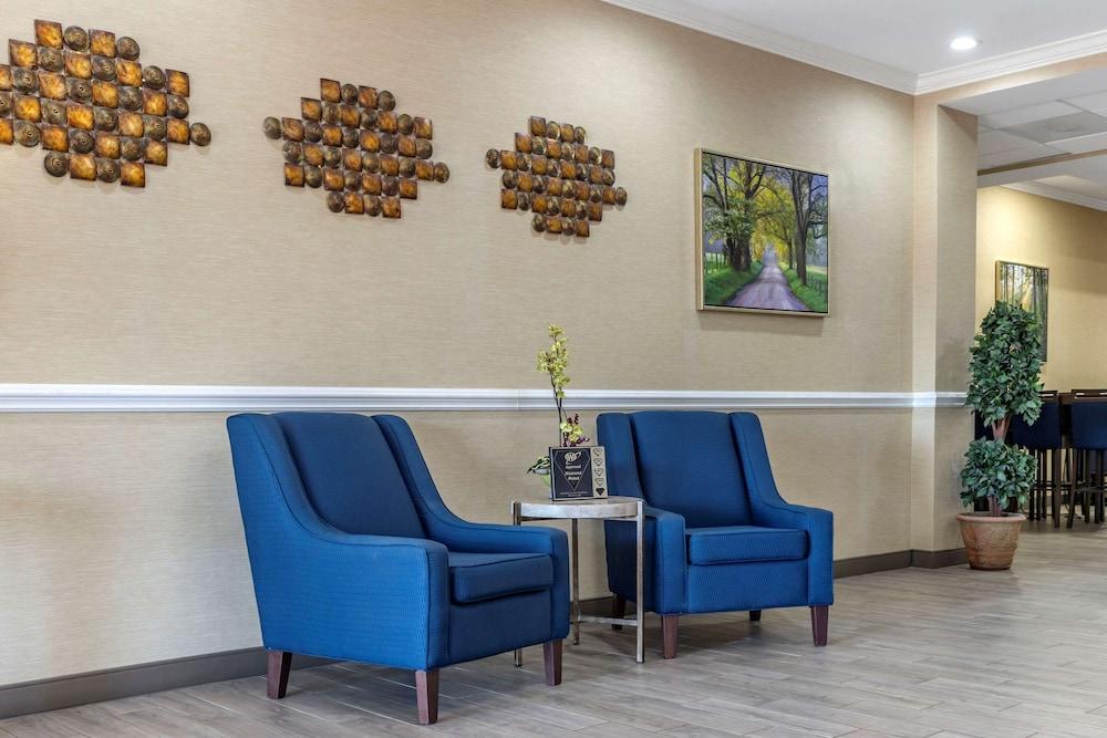 Comfort Inn & Suites Orangeburg photo 3