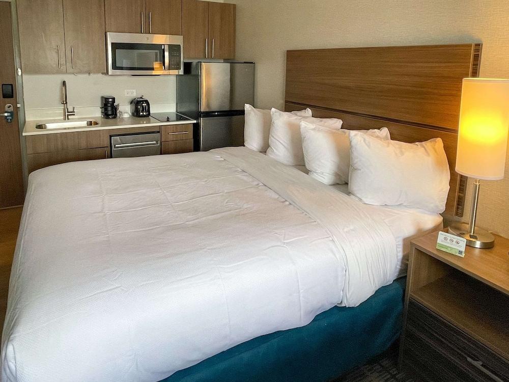MainStay Suites Oak Brook Terrace-Chicago photo 4