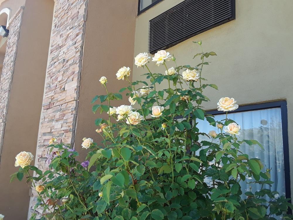 Amerstone Inn & Event Center photo 13