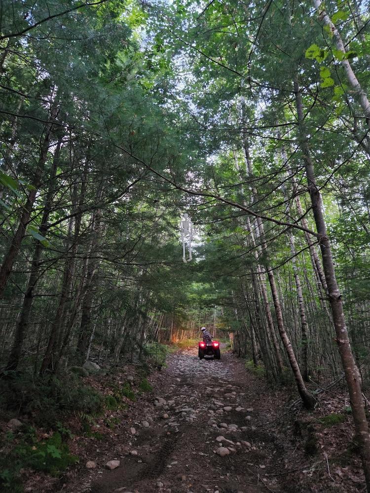 Bear Mountain Lodge photo 35