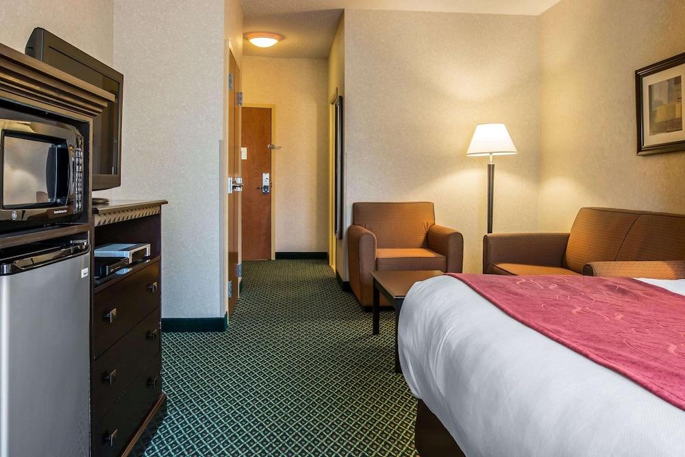 Comfort Suites Canton - Detroit photo 30