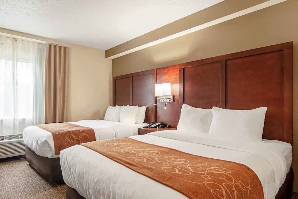 Comfort Suites Knoxville Airport photo 13
